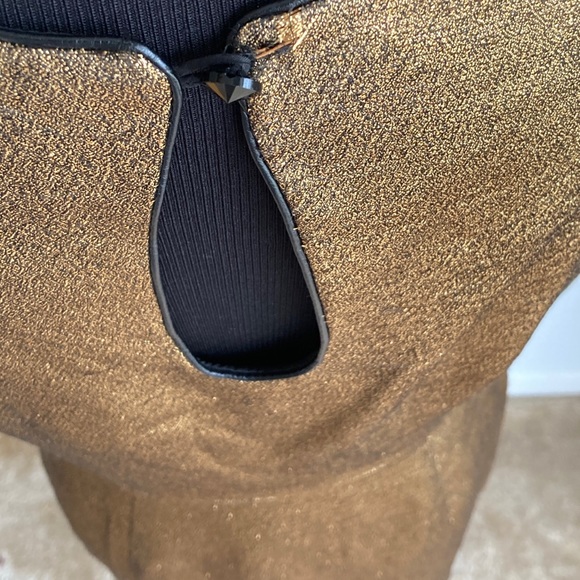 Cluny Gold Dress - Picture 7 of 16